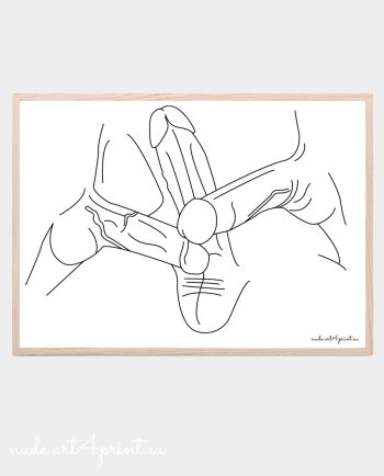 Gay penis art print genital line artwork